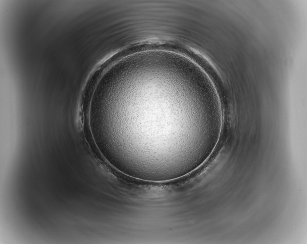 X0000099951018200805231317