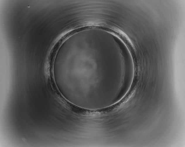 X0000099951019200805231317