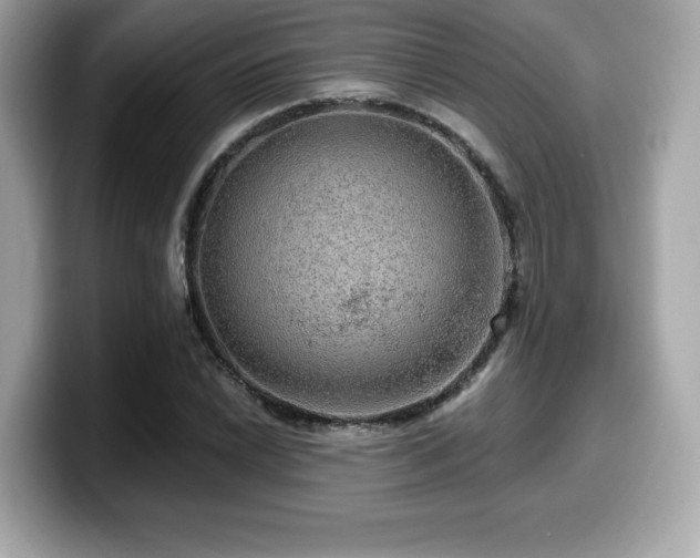 X0000099951022200805231317