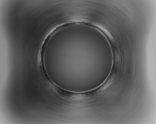 X0000099951023200805231317