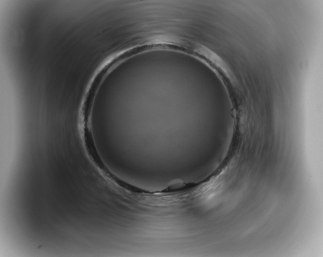 X0000099951024200805231317