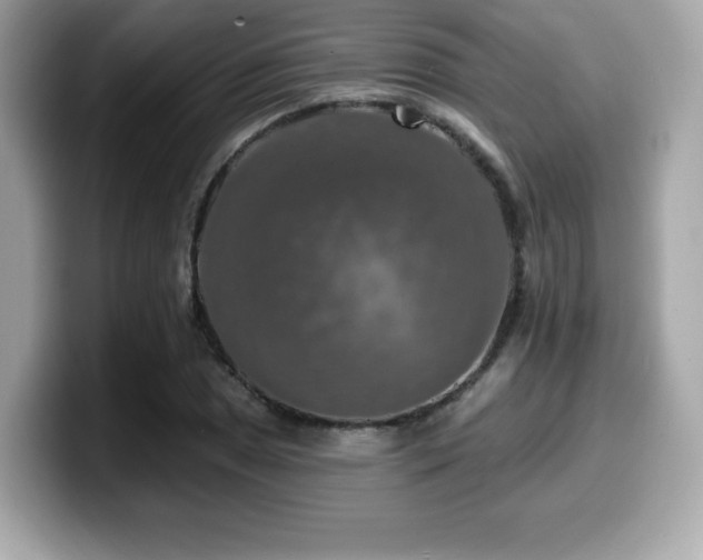 X0000099951025200805231317