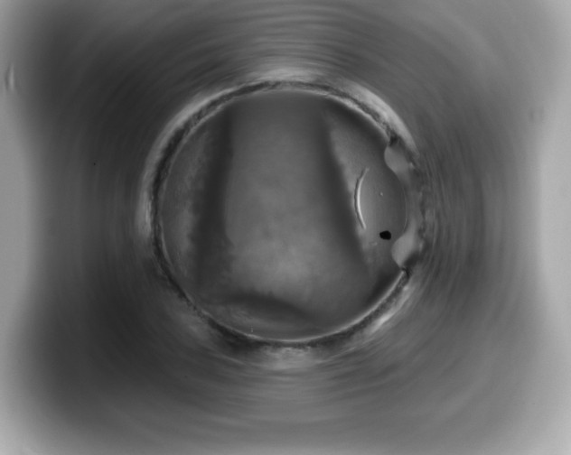 X0000099951027200805231317