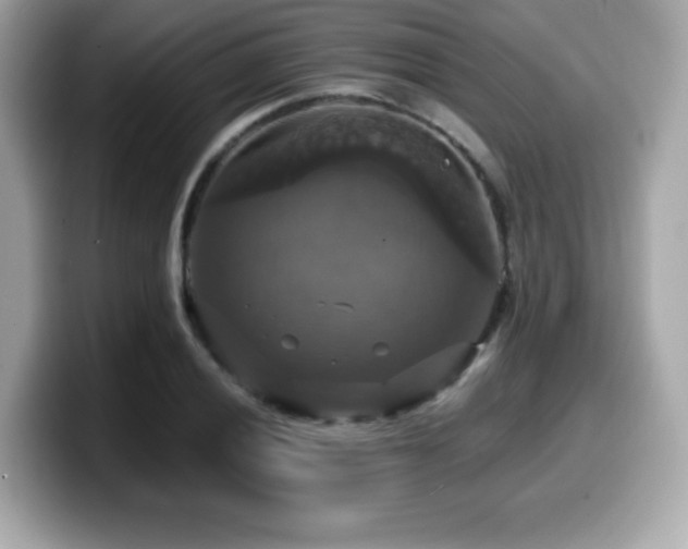 X0000099951028200805231317
