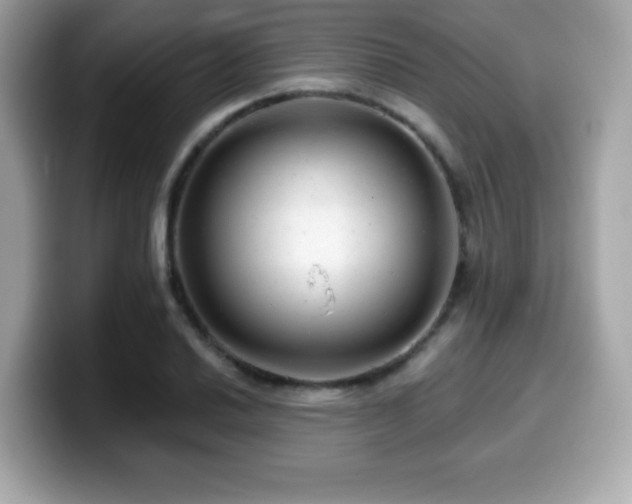 X0000099951030200805231317