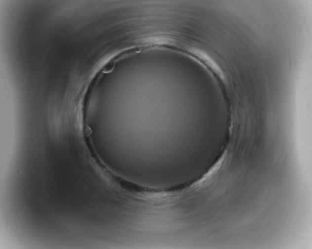 X0000099951031200805231317