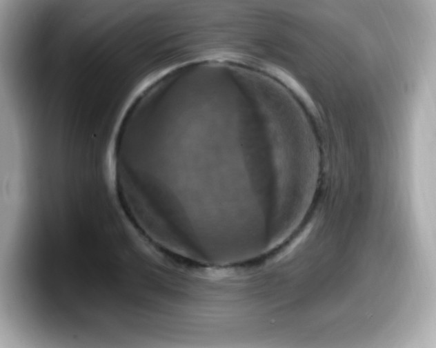 X0000099951032200805231317