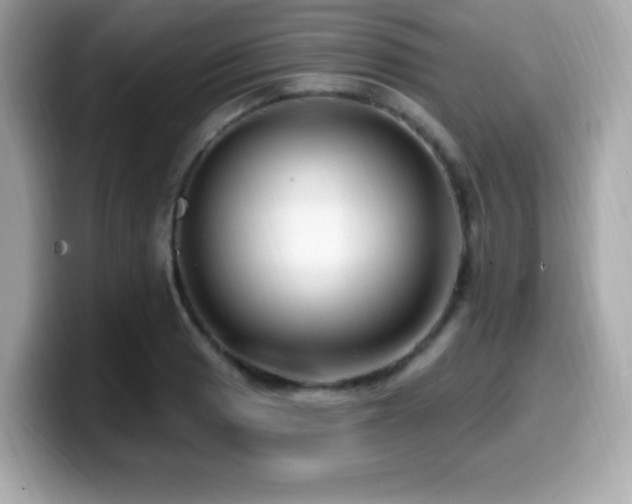 X0000099951033200805231317