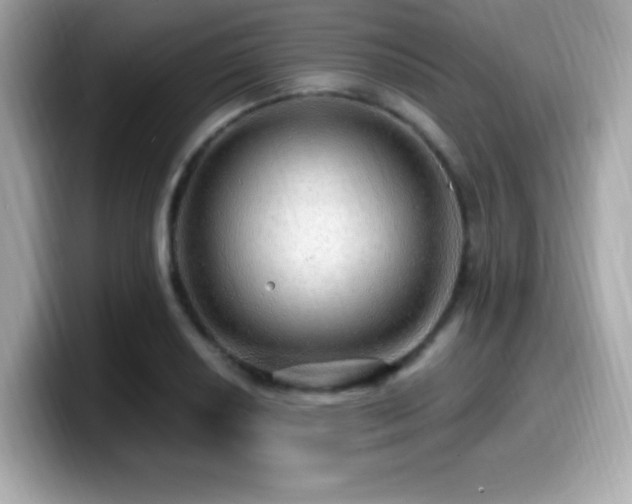 X0000099951034200805231317