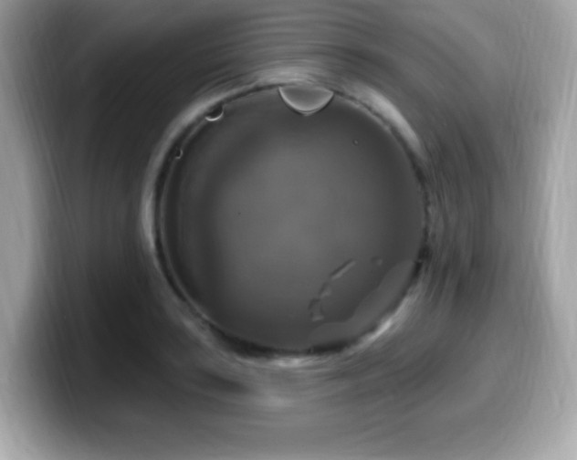 X0000099951035200805231317