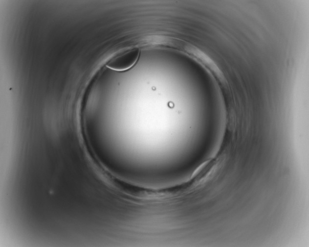 X0000099951039200805231317