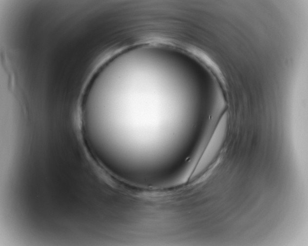X0000099951040200805231317