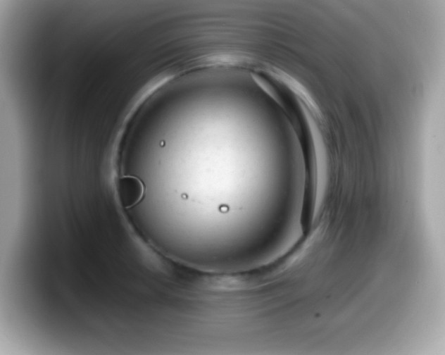 X0000099951042200805231318