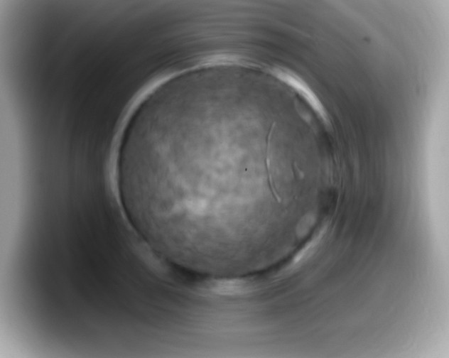 X0000099951043200805231318