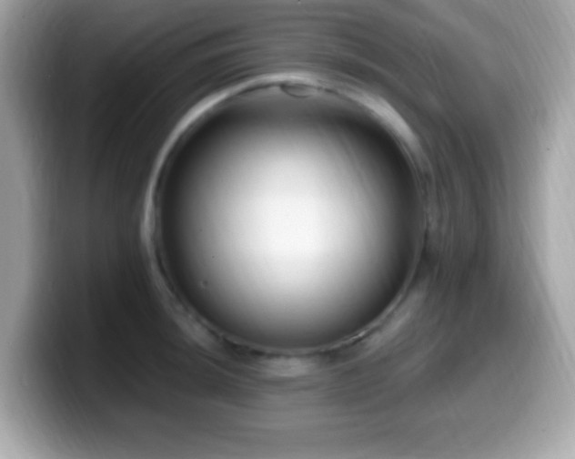 X0000099951044200805231318
