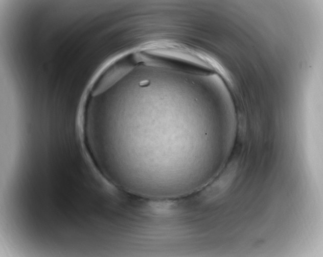 X0000099951046200805231318
