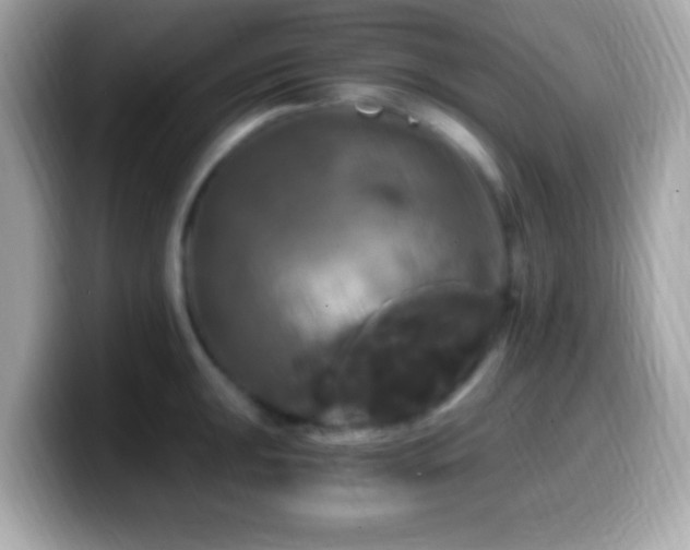 X0000099951047200805231318
