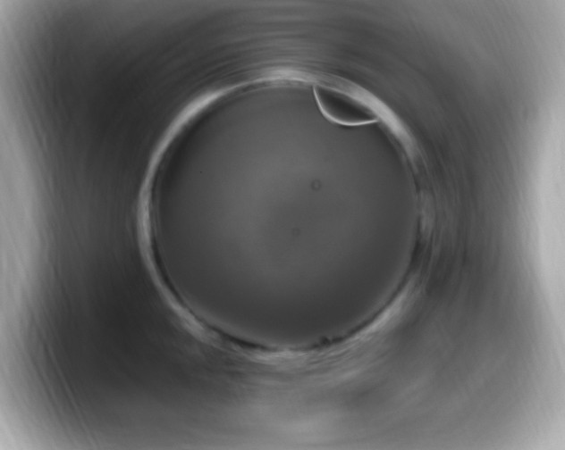 X0000099951048200805231318