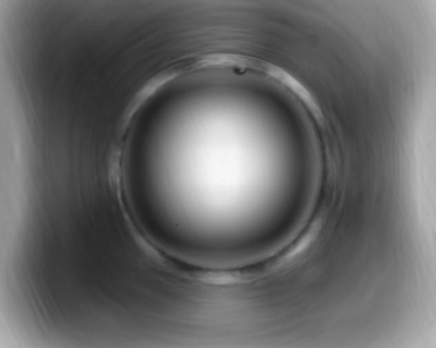 X0000099951049200805231318