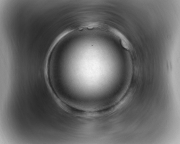 X0000099951050200805231318