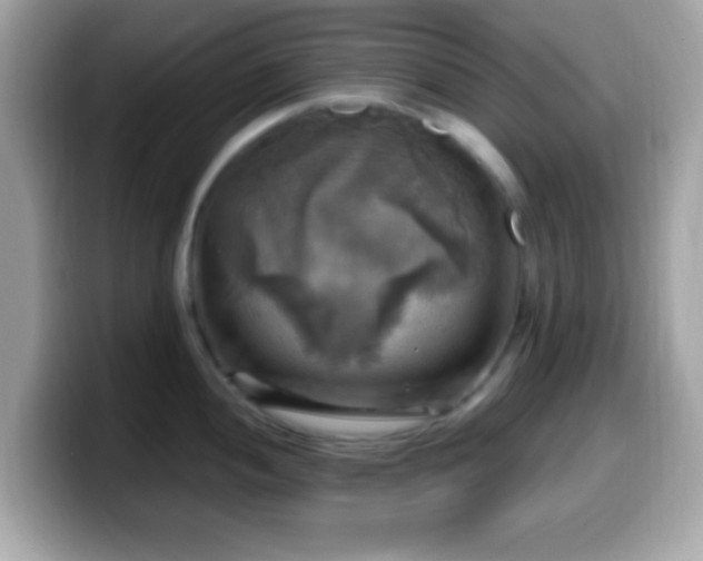 X0000099951052200805231318