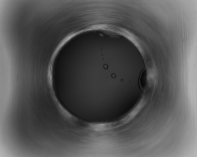 X0000099951054200805231318