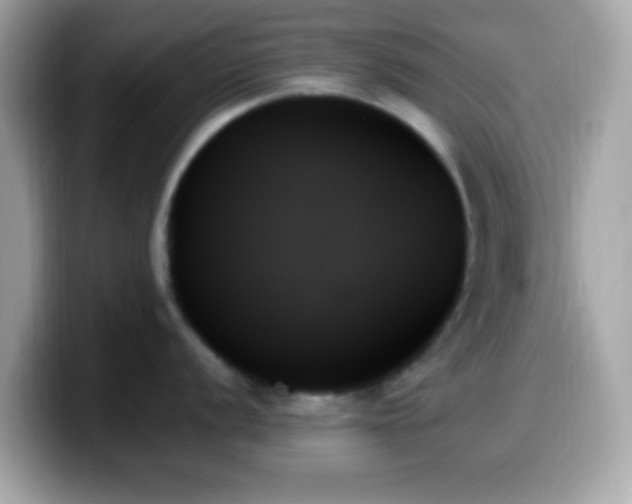 X0000099951056200805231318