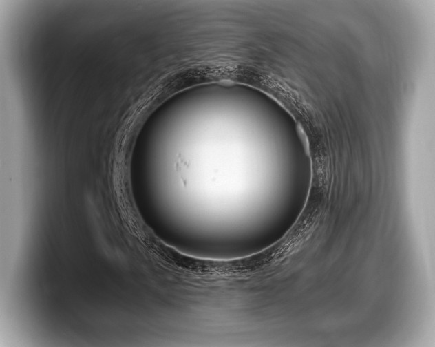 X0000099951057200805231317