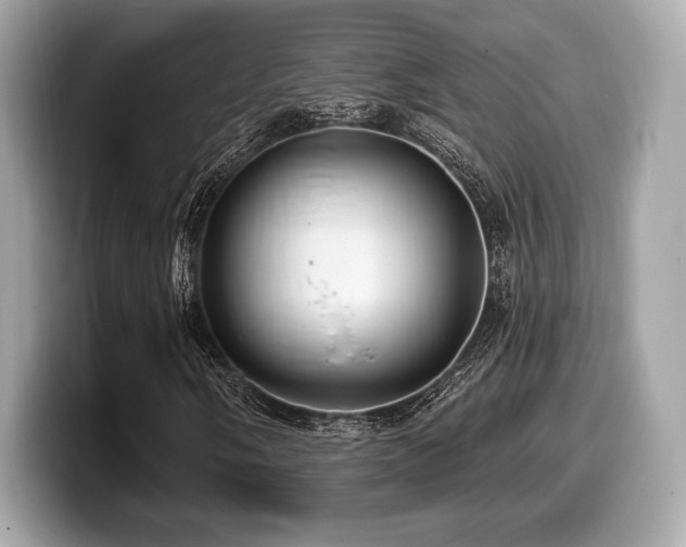 X0000099951058200805231317