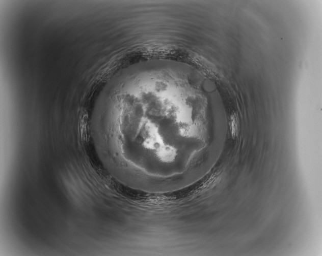 X0000099951059200805231317