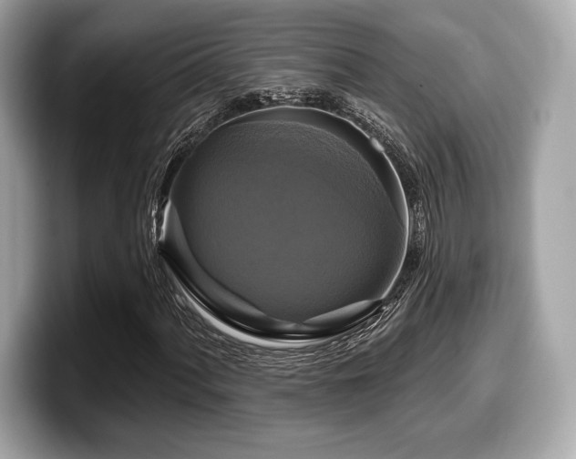 X0000099951060200805231317