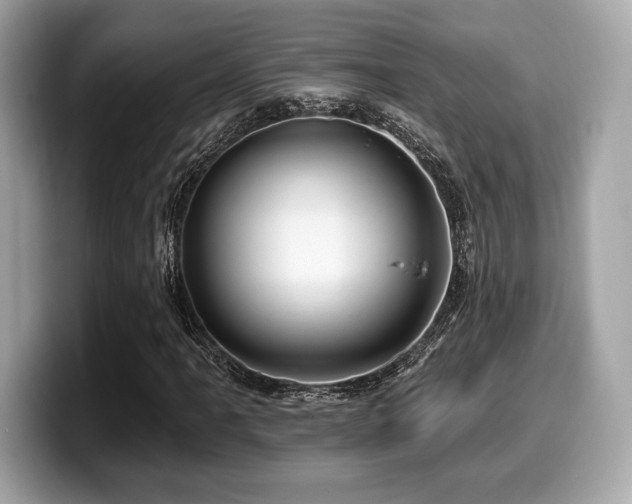 X0000099951061200805231317