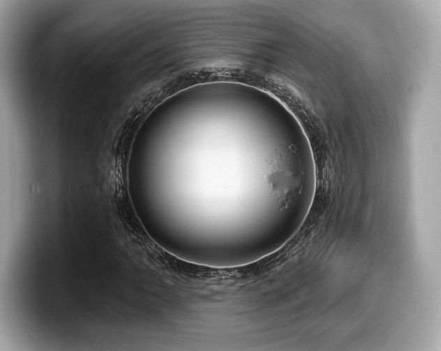 X0000099951062200805231317