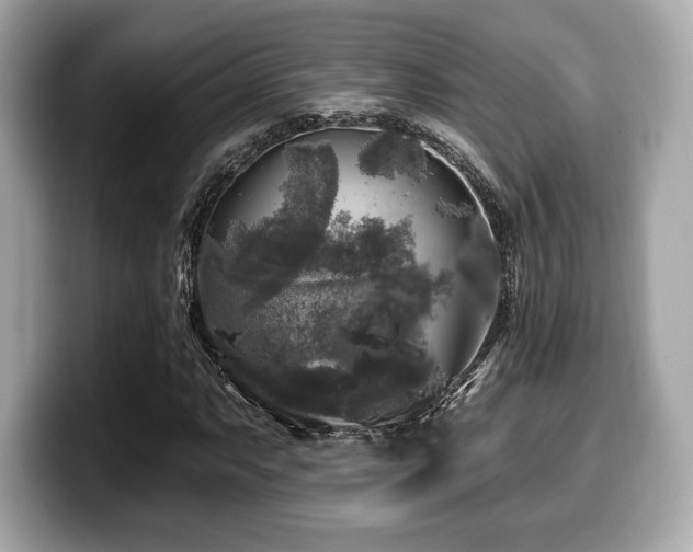 X0000099951063200805231317