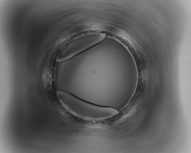 X0000099951064200805231317
