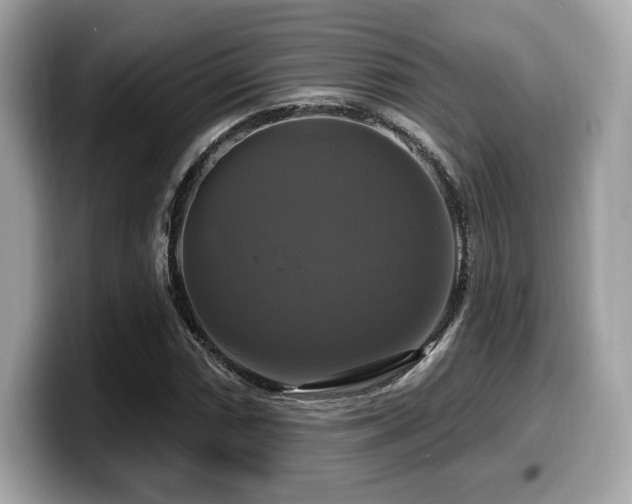 X0000099951066200805231317