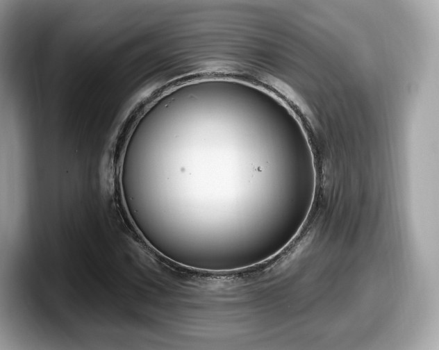 X0000099951067200805231317