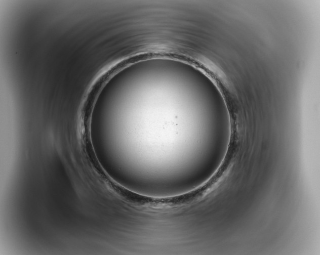 X0000099951070200805231317