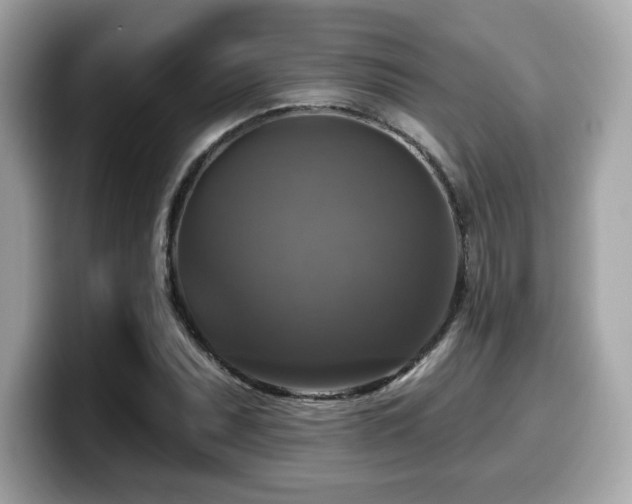X0000099951071200805231317