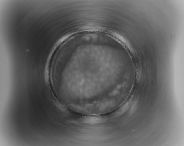 X0000099951074200805231317