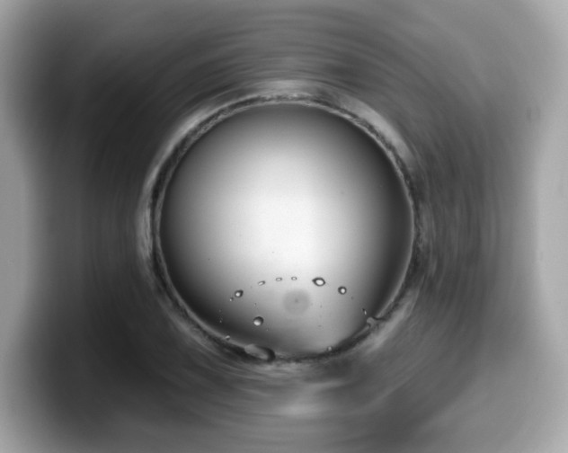 X0000099951075200805231317