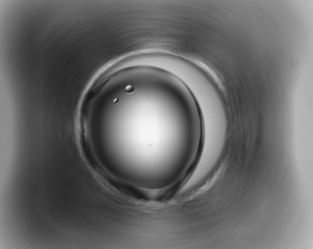 X0000099951077200805231317