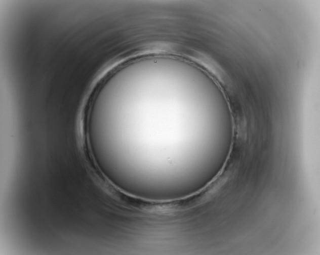 X0000099951078200805231317