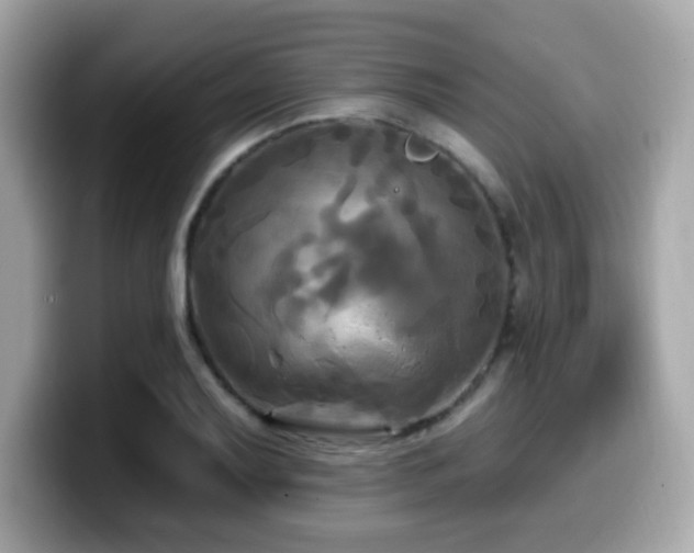 X0000099951079200805231317