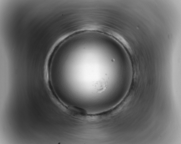 X0000099951080200805231317