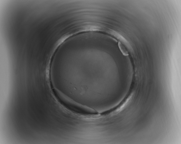 X0000099951081200805231317