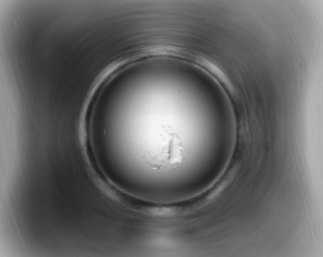 X0000099951082200805231317
