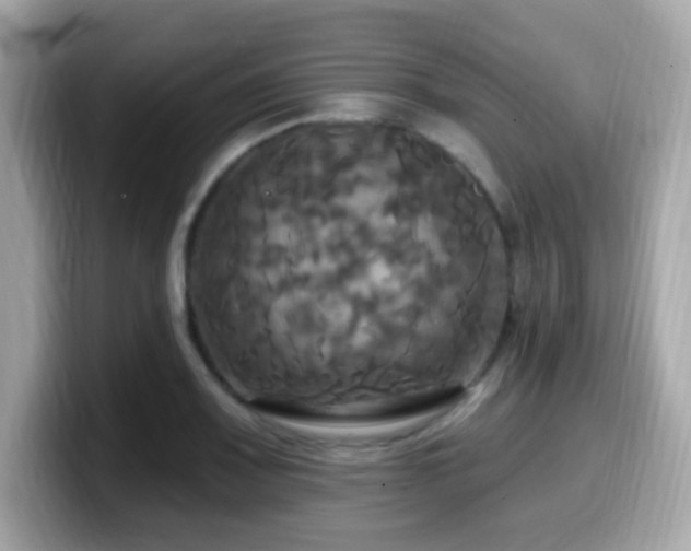 X0000099951083200805231317