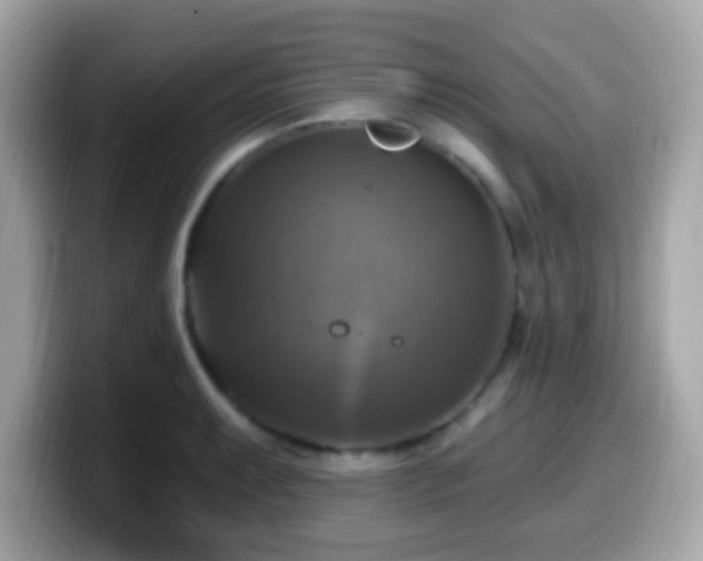 X0000099951087200805231316