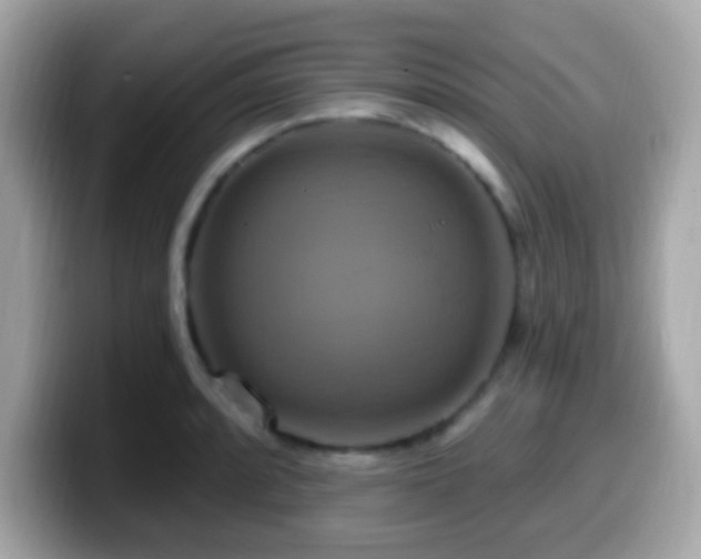 X0000099951088200805231316
